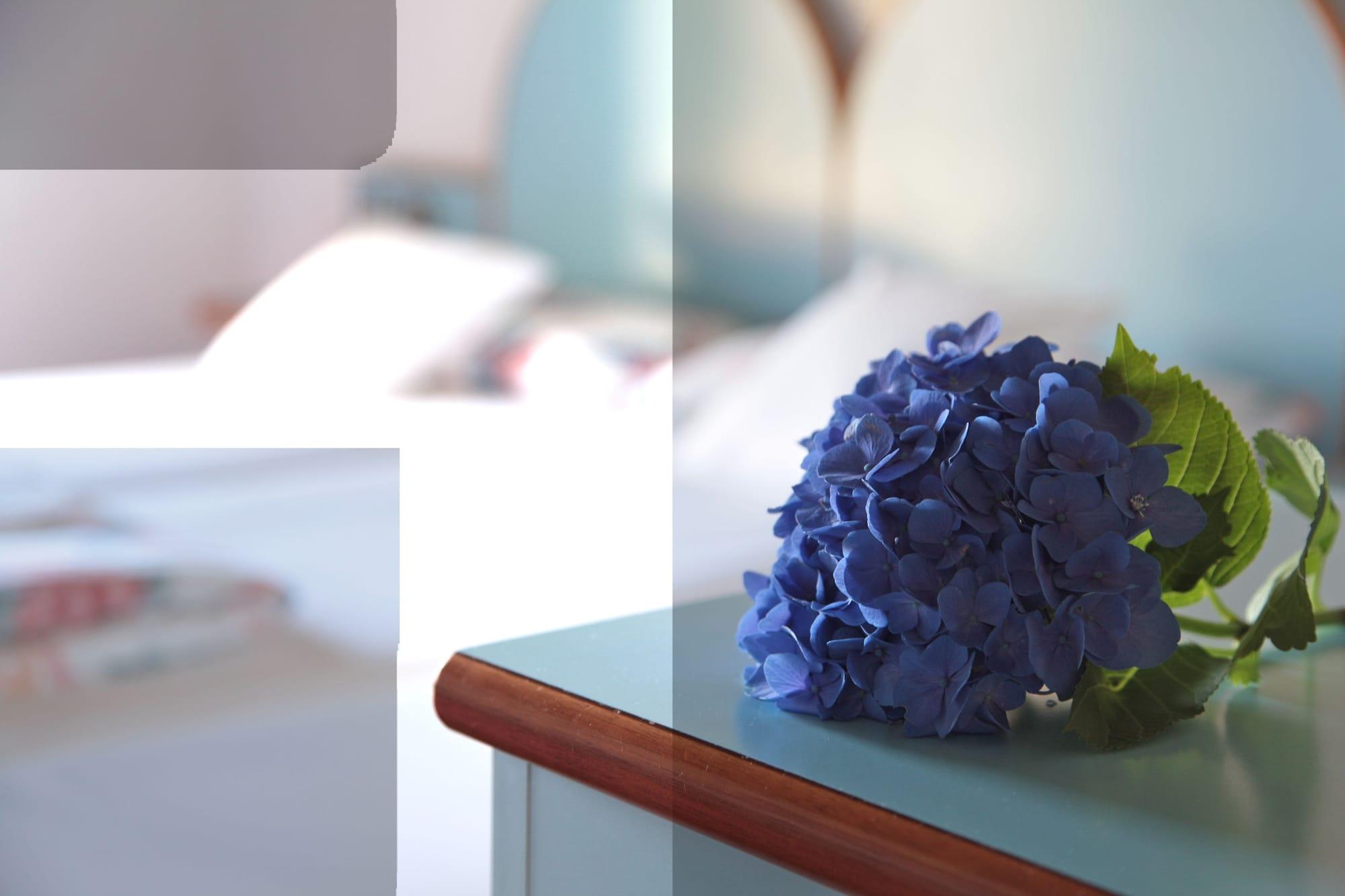 Hotel San Filis San Felice del Benaco Ngoại thất bức ảnh