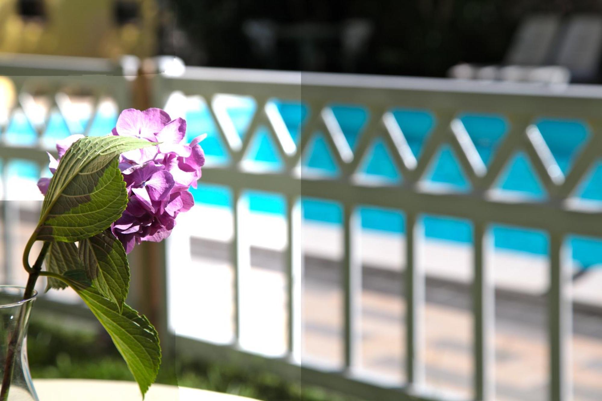 Hotel San Filis San Felice del Benaco Ngoại thất bức ảnh